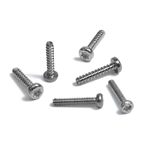 Photo of 6 silver screws for loupes
